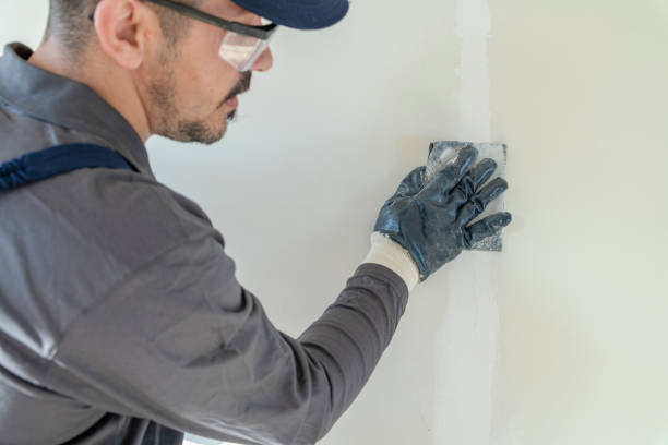 Best Environmental Consulting for Mold Prevention  in Yellville, AR