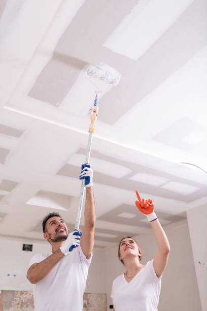 Best Black Mold Removal  in Yellville, AR