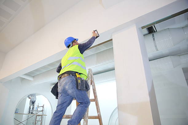 Best Asbestos and Lead Testing During Mold Inspection  in Yellville, AR
